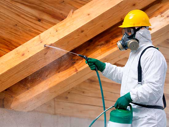 Nivel Aplicador en Tratamiento de Madera (TP8)